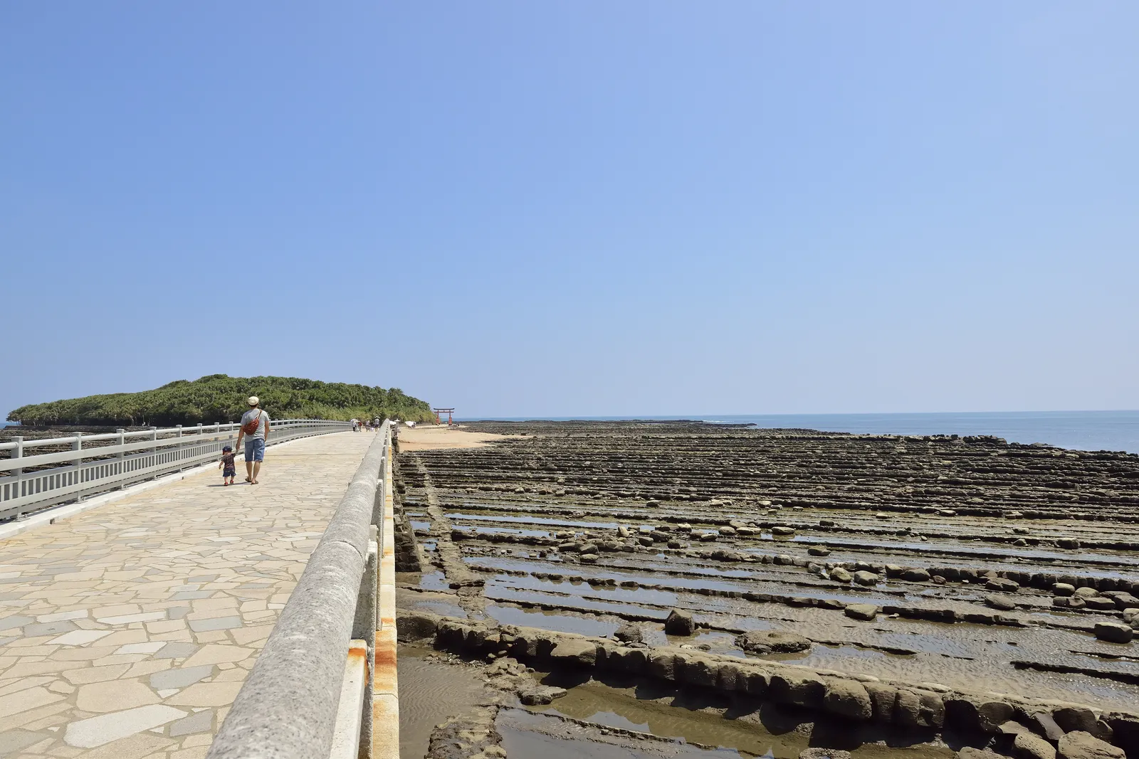 青島（弥生橋）